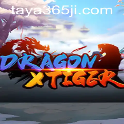 Discovering the Thrills of DragonXTiger: An Insightful Look